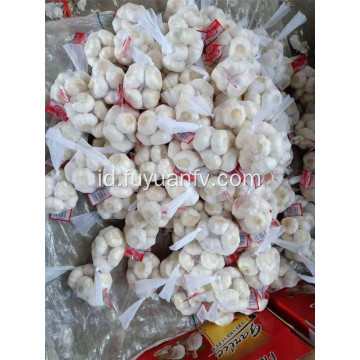 Top kualitas 5.0cm bawang putih putih murni